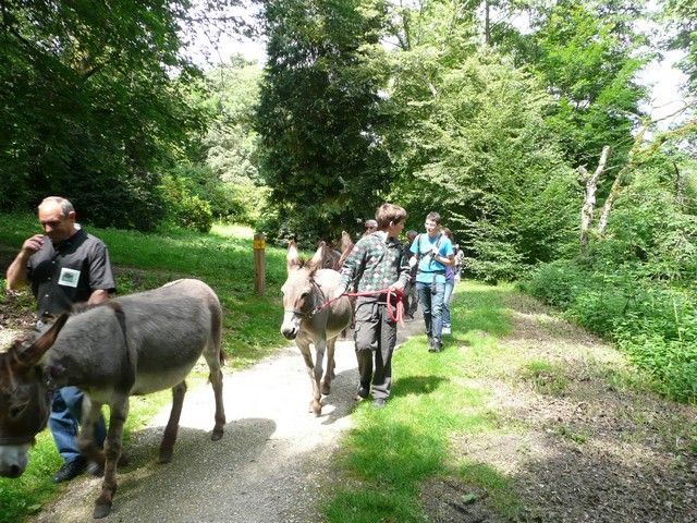 Le Parc 19 juillet 2012 (18).jpg